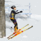 פעלולי סקי